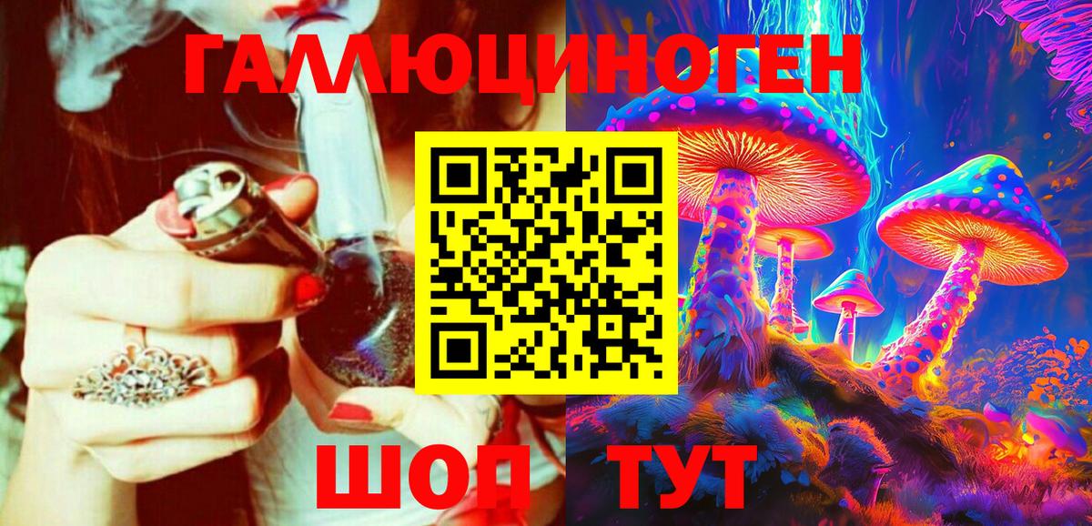 Псилоцибиновые грибы Psilocybine cubensis Гатчина