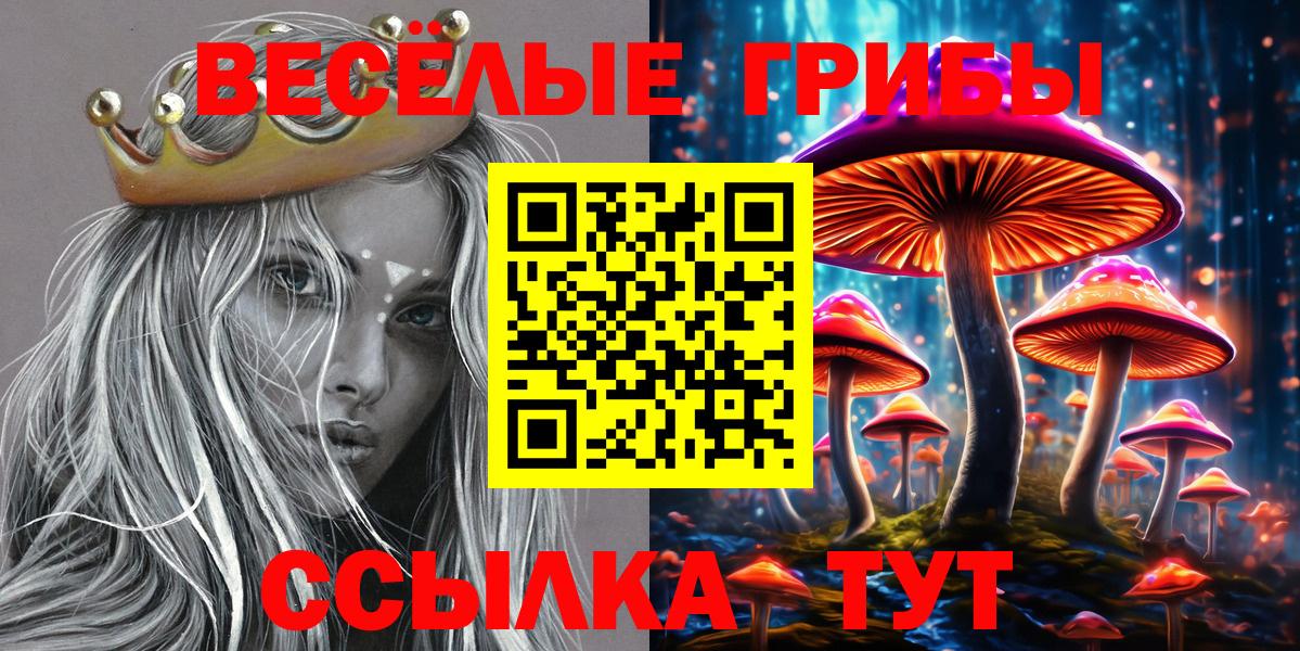 Галлюциногенные грибы ЛСД  купить закладку  Гатчина  Вход с VPN 